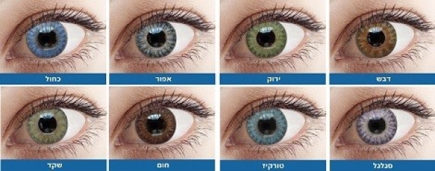 צבעים זמינים